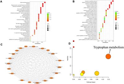 Analysis of gut microbiota-derived metabolites regulating pituitary neuroendocrine tumors through network pharmacology